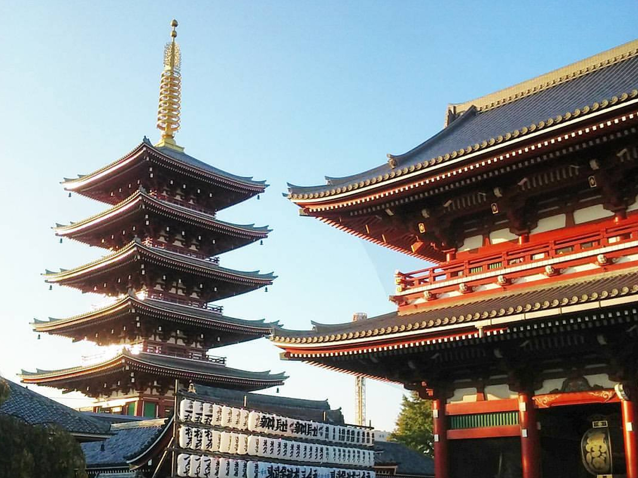 Chapter 21 : Last Day In Tokyo